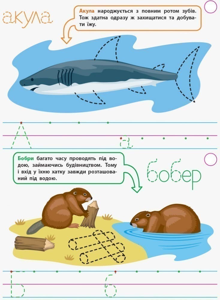 Прописи для розумників. Хто не плаває?, фото - 2