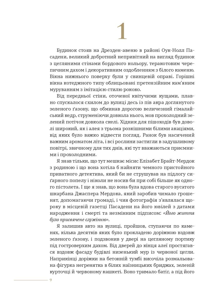 Високе вікно (з пошкодженням), фото - 3