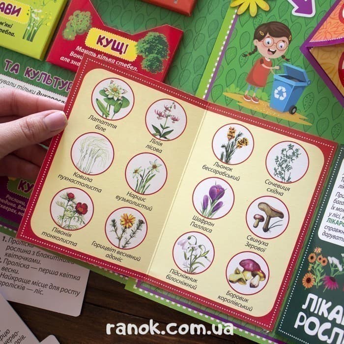 Лепбук.Рослини, фото - 3