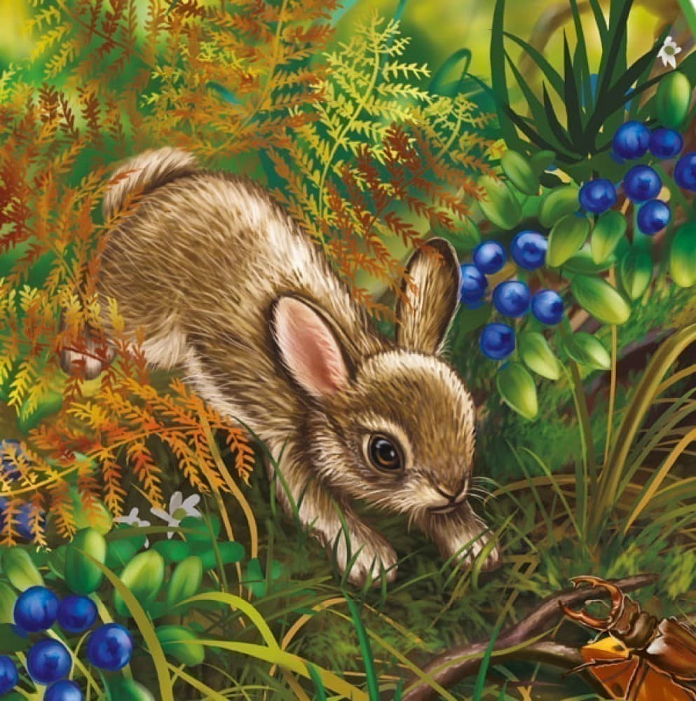 Їжачок, фото - 3