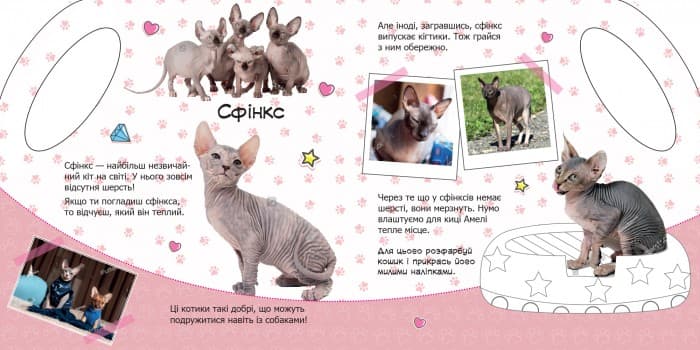 Котики, фото - 2