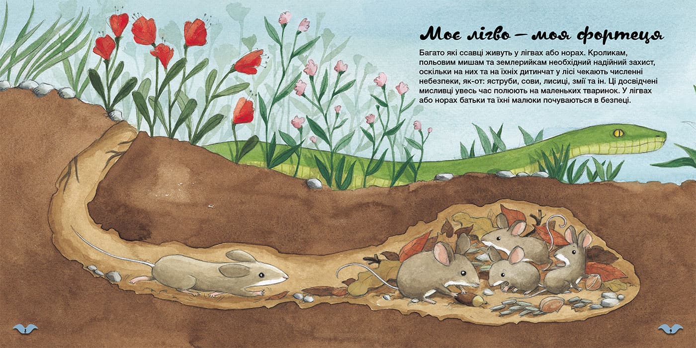 Як тварини облаштовують свої домівки?, фото - 3