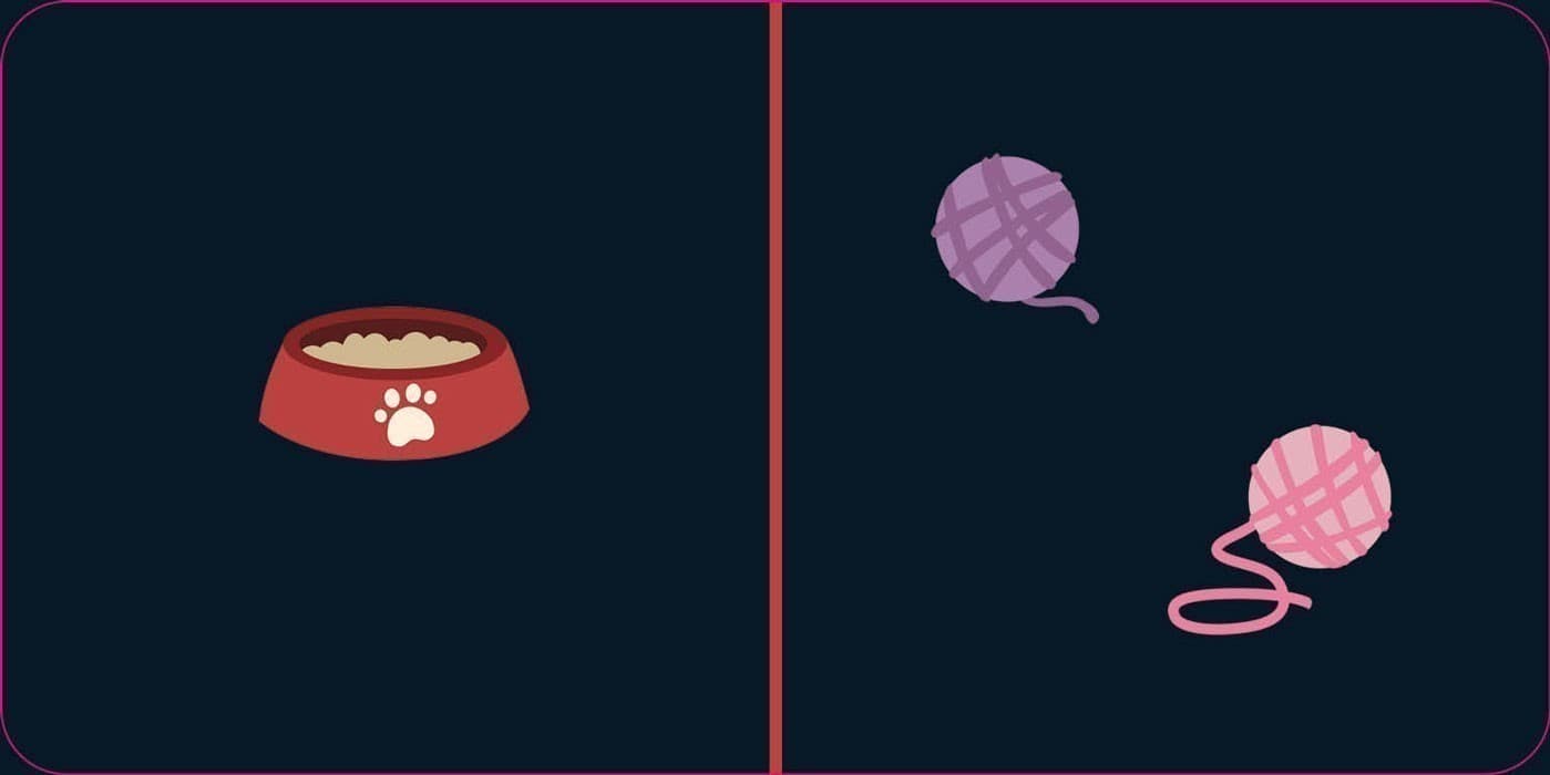 Гра у подарунок. Доміно. Звіроміно, фото - 3