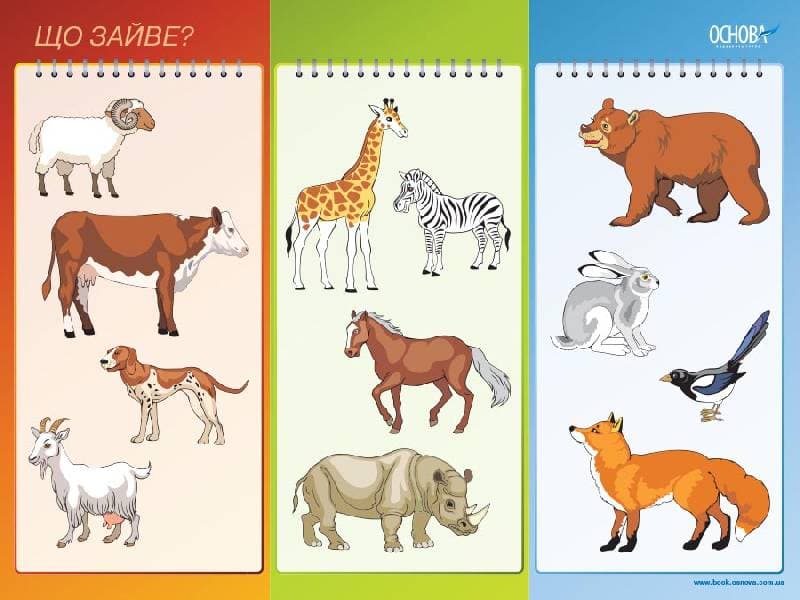 Що зайве?, фото - 2