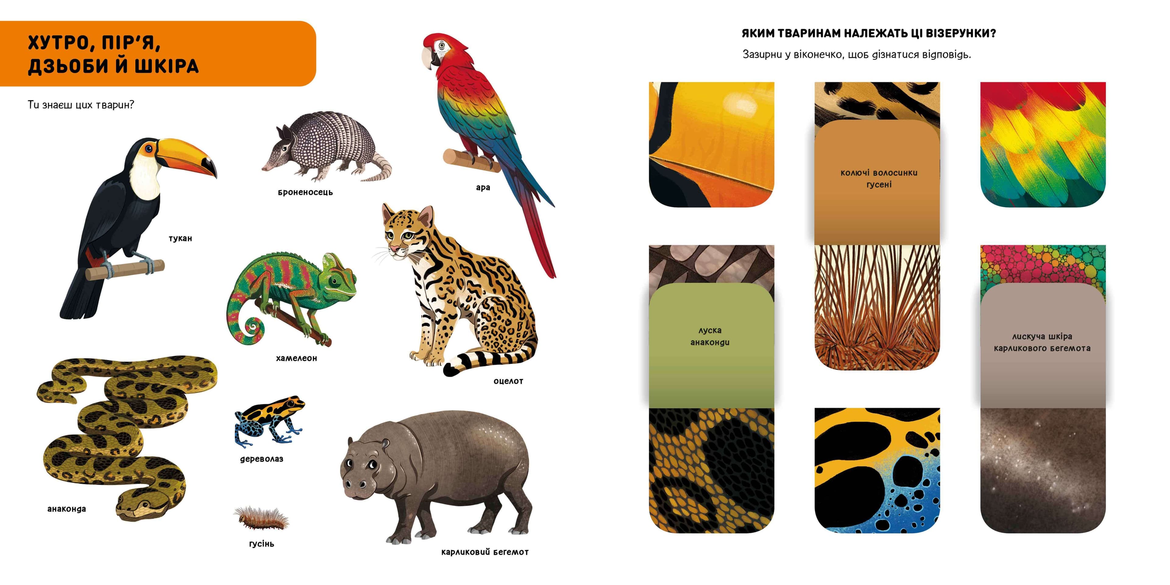 DOC Секрети. Тварини джунглів, фото - 2