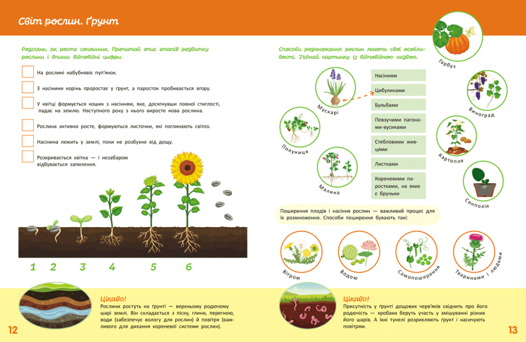 Школа Кенгуру. Пізнаємо світ. IІІ крок, фото - 2
