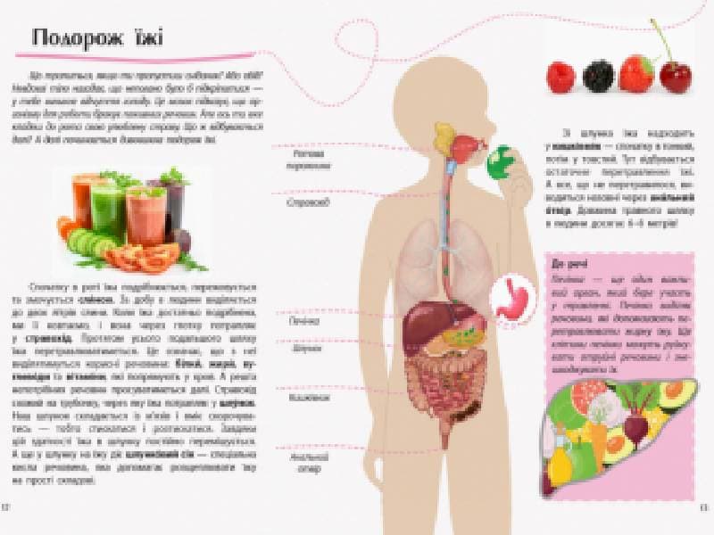 Людина. Відкриваємо світ, фото - 3