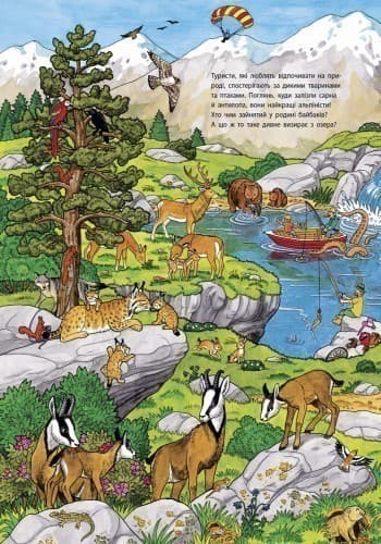 Мій великий віммельбух. Тварини, фото - 2