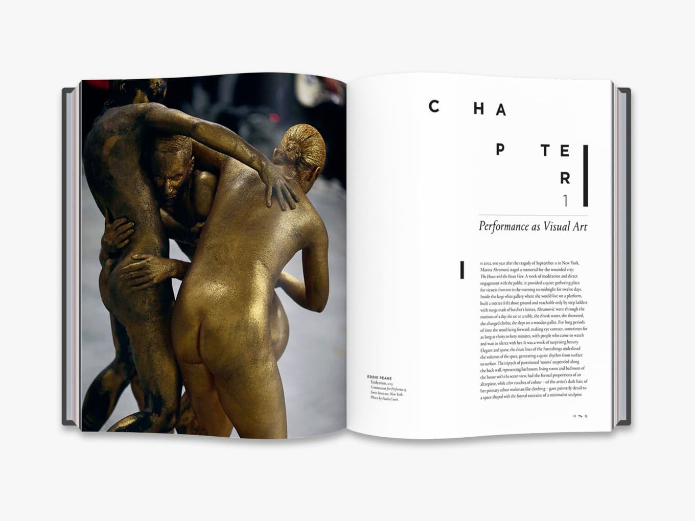 Performance Now. Live Art for the 21st Century, фото - 3