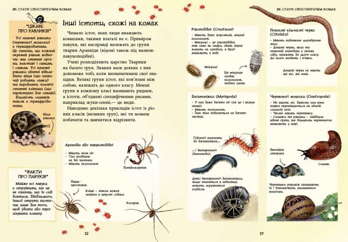 Комахи й інші маленькі істоти, фото - 2