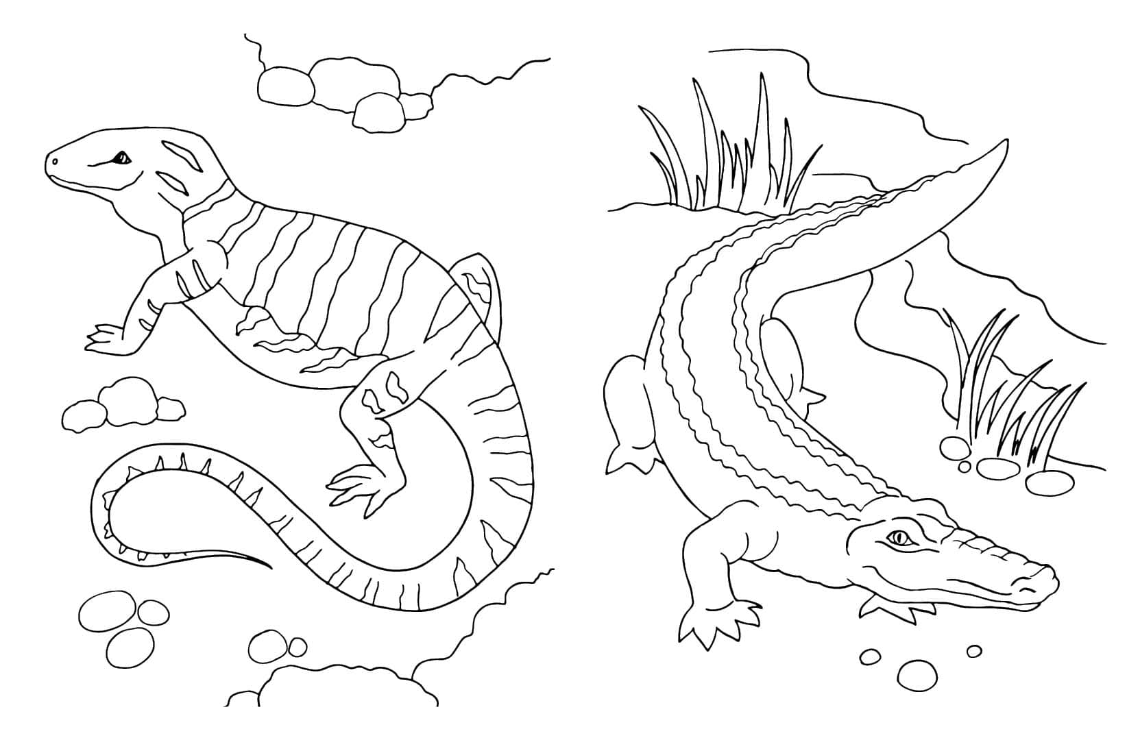 Тварини, фото - 2