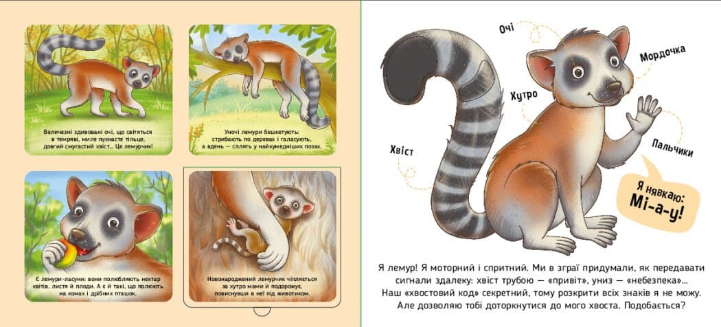 Познайомся і погладь. Тварини світу, фото - 2