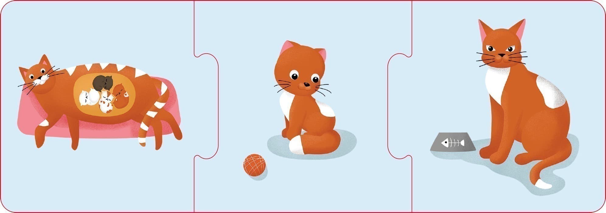 Логічні ланцюжки. Тварини і рослини. Етапи розвитку, фото - 3