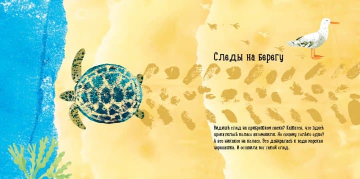 Куда девалась черепаха?, фото - 2