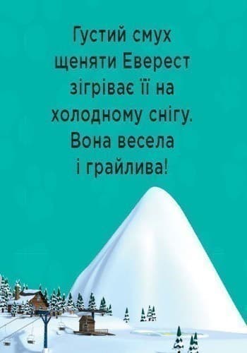 Щенячий патруль. Улюблені герої, фото - 1