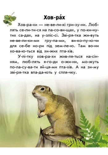 Тваринний світ лугів і степів, фото - 2