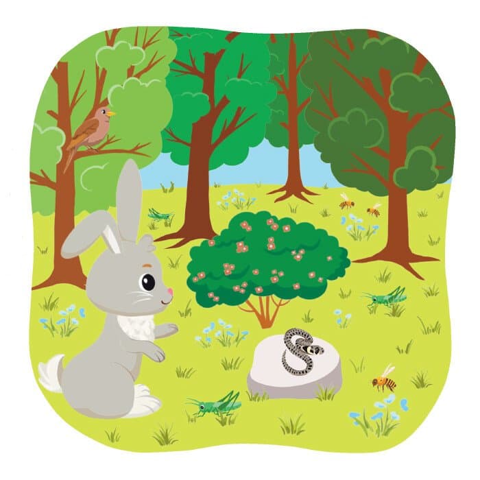 Школа Кенгуру. Розвиток мовлення. Пригоди Зайченятка, фото - 3