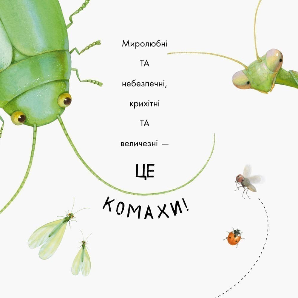 Знайомі комахи, фото - 3