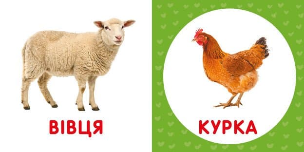 Перша книжка малюка. Свійські тварини, фото - 3