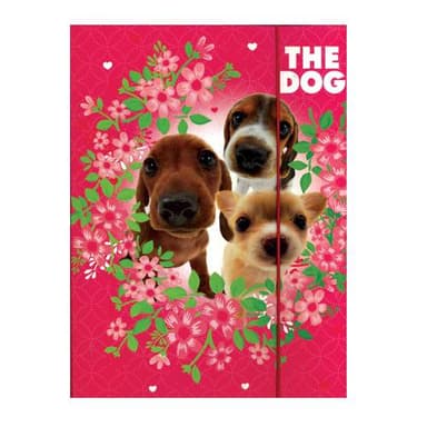 Папка картон на резинці &amp;quot;Песики&amp;quot; для дівчаток