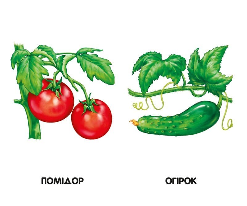 Овочі, фрукти, ягоди, фото - 2