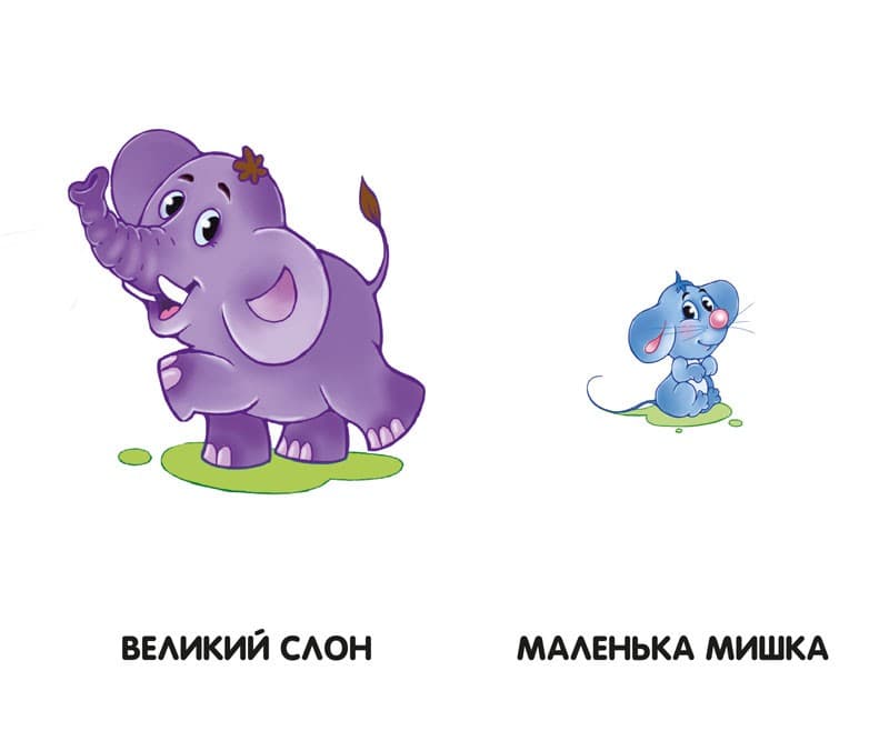 Отакі різні, фото - 3