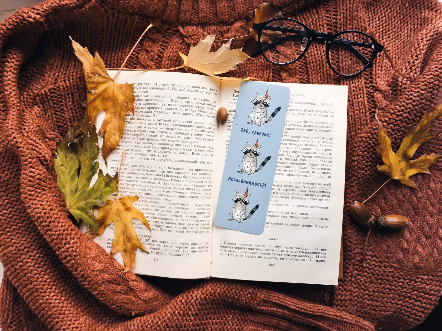 Закладка ZK 102 (Єнот. Хей, Красуне! Познайомимось, фото - 1