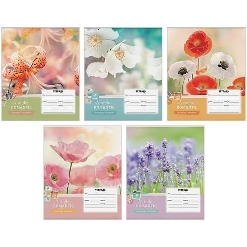 Зошит Мрiї 12-3077Л лiн 12ар ассорт  карт/обкл офс з полями, фото - 1