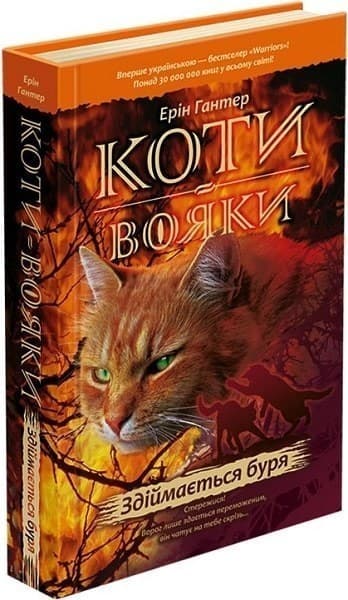 Коти-вояки. Пророцтва починаються. Книга 4. Здіймається буря