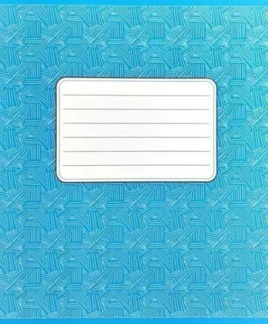 Тетрадь 12 лин Фон офсет