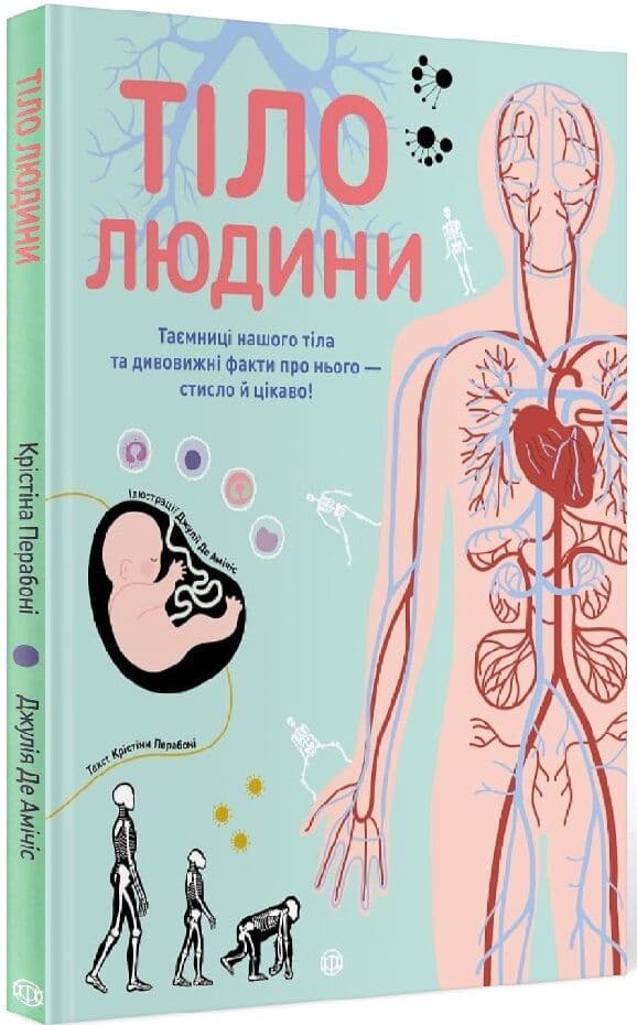 Тіло людини. Таємниці нашого тіла та дивовижні факти про нього, фото - 1