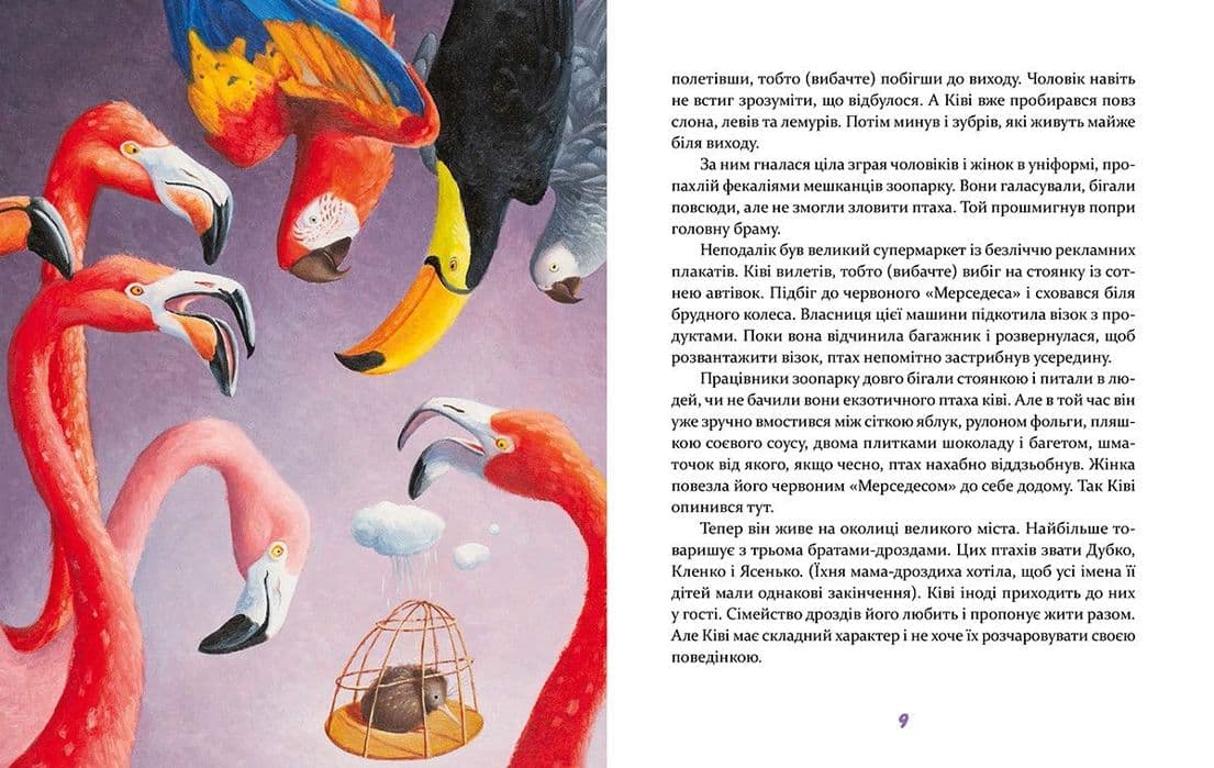 Ківі Ківі, фото - 3