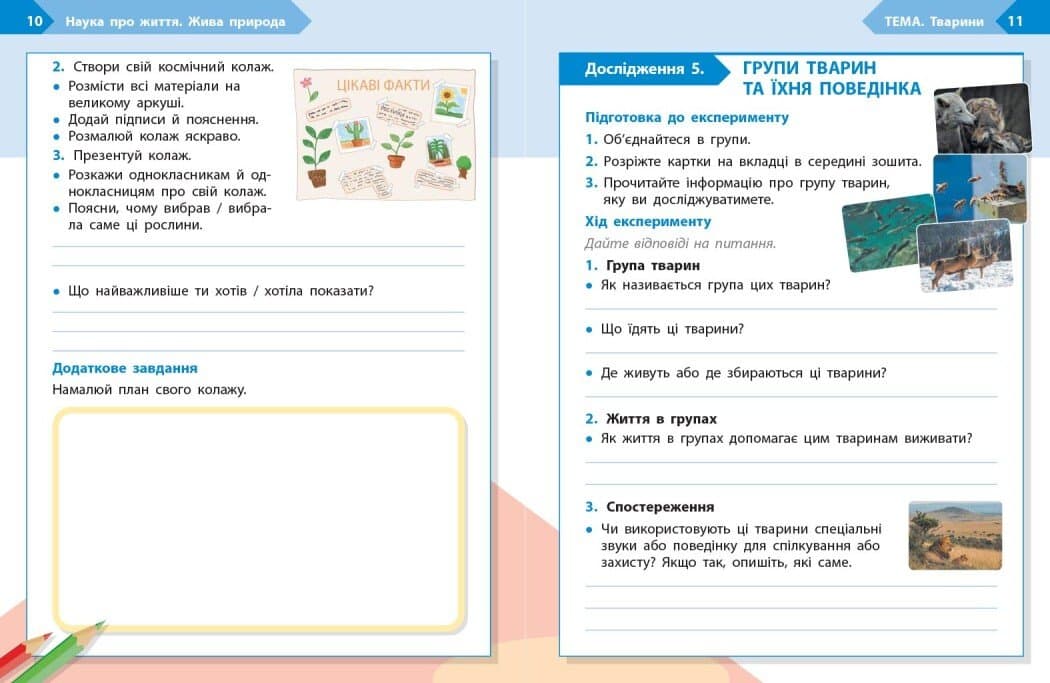STEM-старт. 4 клас. Зошит для учня. Наука про життя, фото - 3