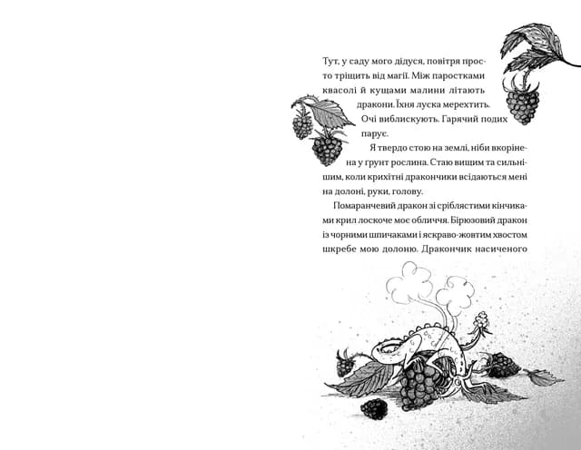 Хлопчик, який співав з драконами. Книга 5, фото - 3