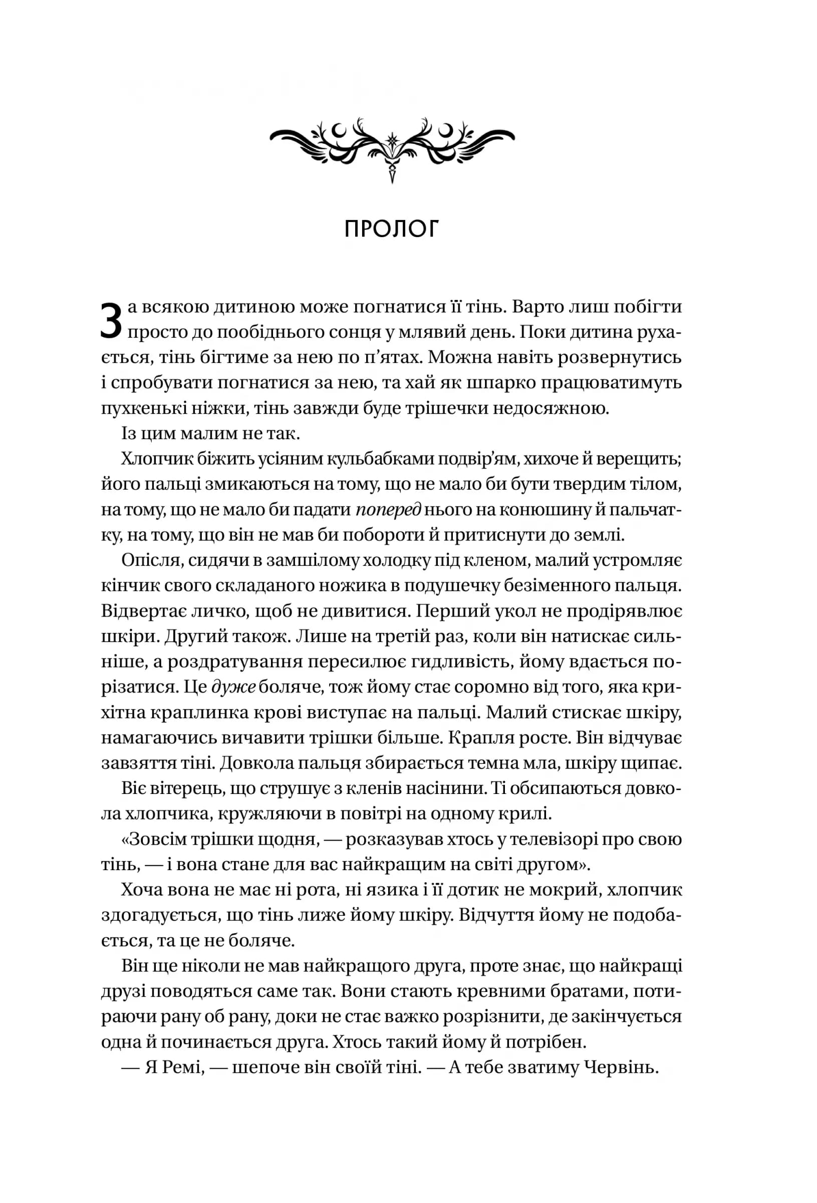 Книга ночі (з кольоровим зрізом), фото - 2