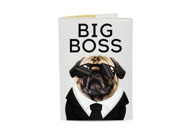 Обкладинка на паспорт ЕкоШкіра Big Boss