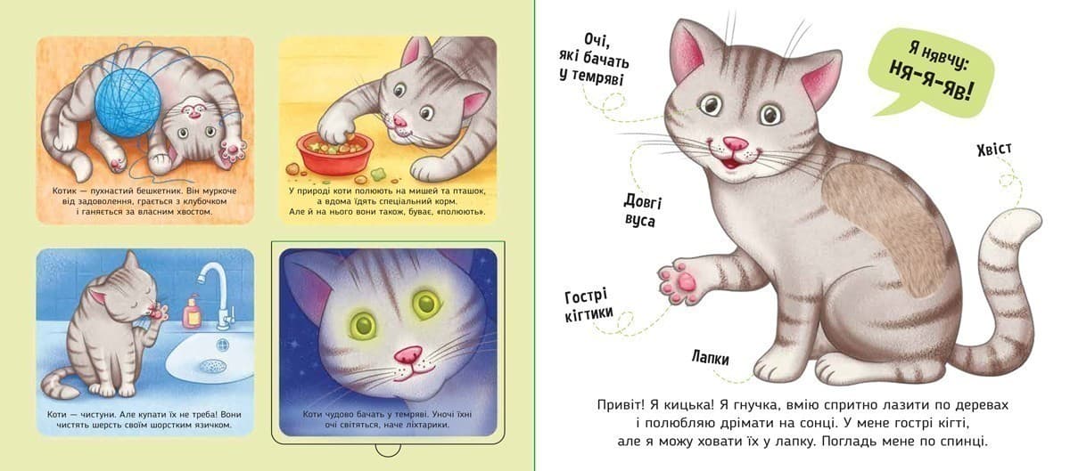 Мої улюбленці. Познайомся і погладь, фото - 3