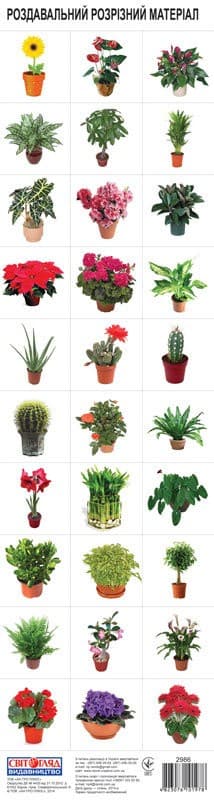 Роздавальний розрізний матеріал.Кімнатні рослини, фото - 1