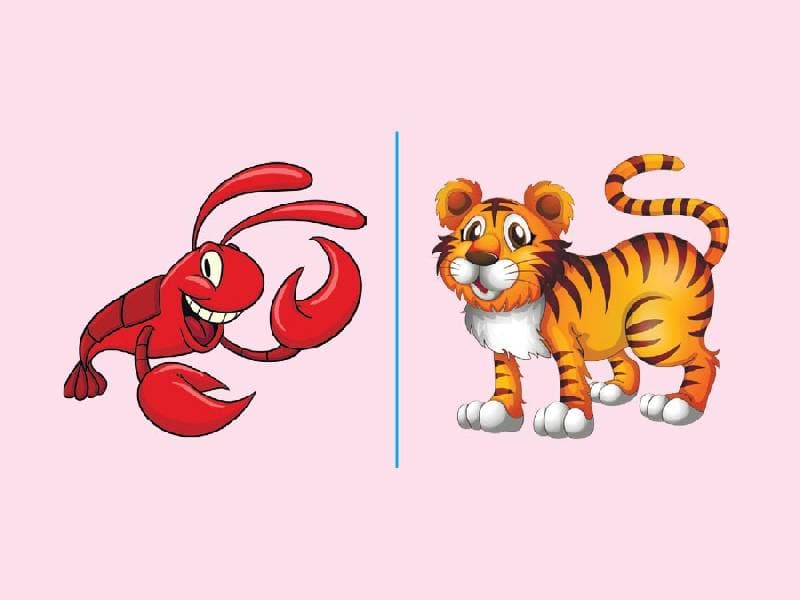 Навчальне ДОМІНО. Звуковий ланцюжок Дидактичні ігри НУД019, фото - 3