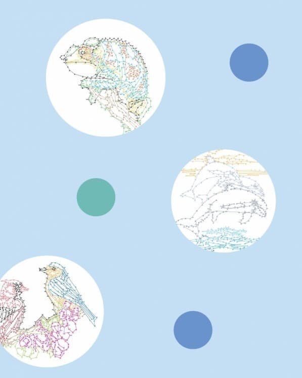 Від точки до точки. Дикий рай, фото - 2