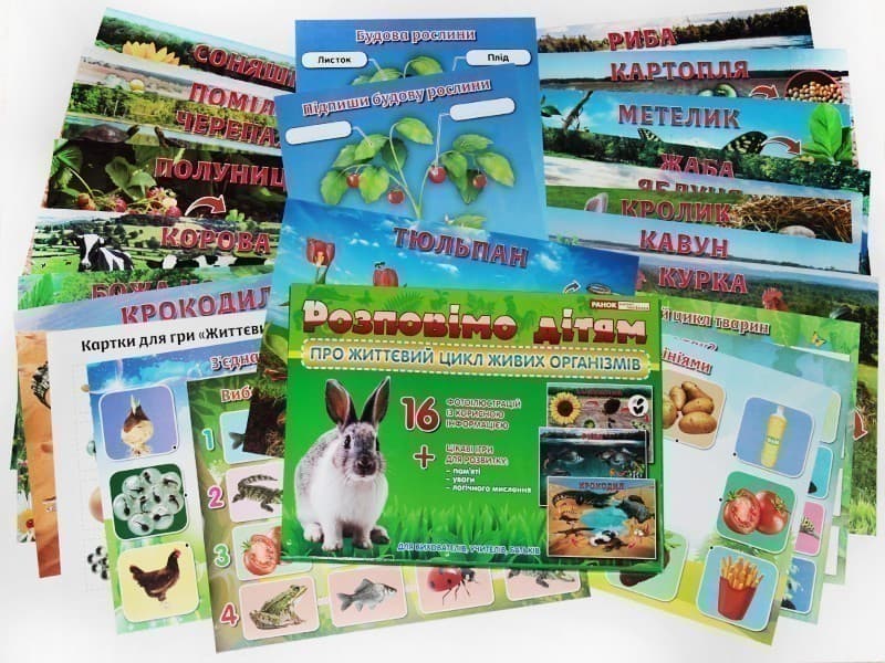 Розповімо дітям про життєвий цикл живих організмів, фото - 2