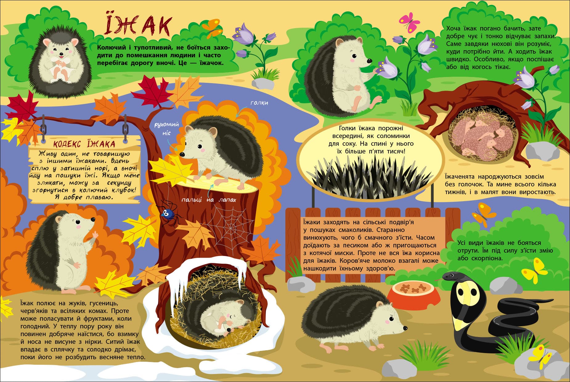 Таємне життя маленьких тварин, фото - 2