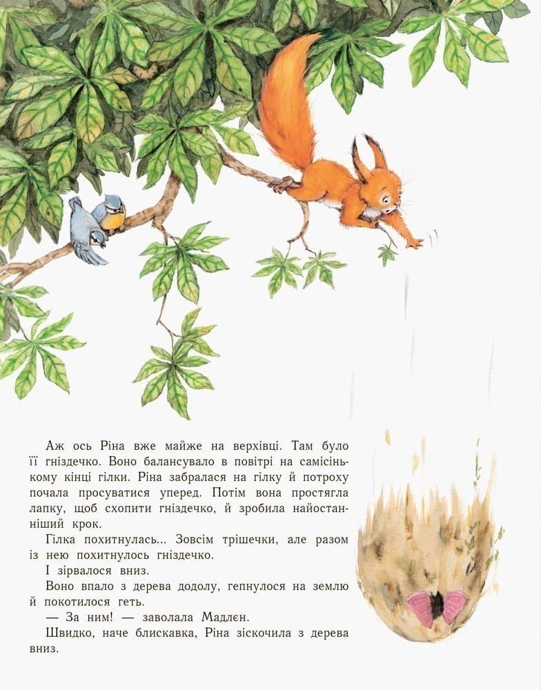 Справжня відважна білка завжди знайде шлях, фото - 2