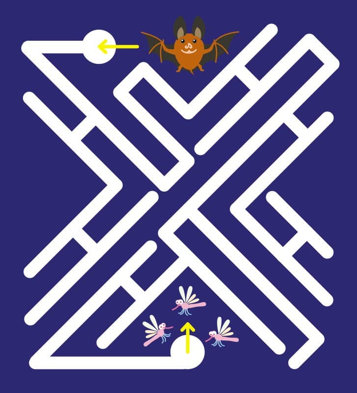 Багаторазові лабіринти. Їжачок, фото - 3