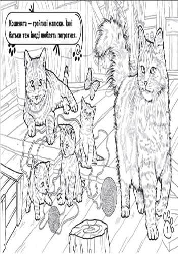 На фермі, фото - 3