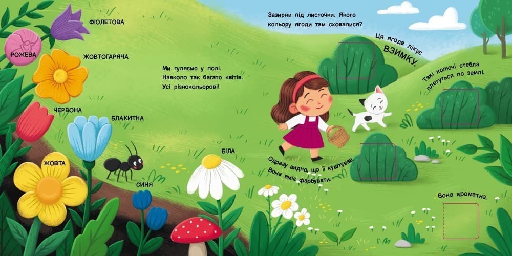 Книжка для малечі. Якого кольору. 24 віконця-хованки, фото - 3