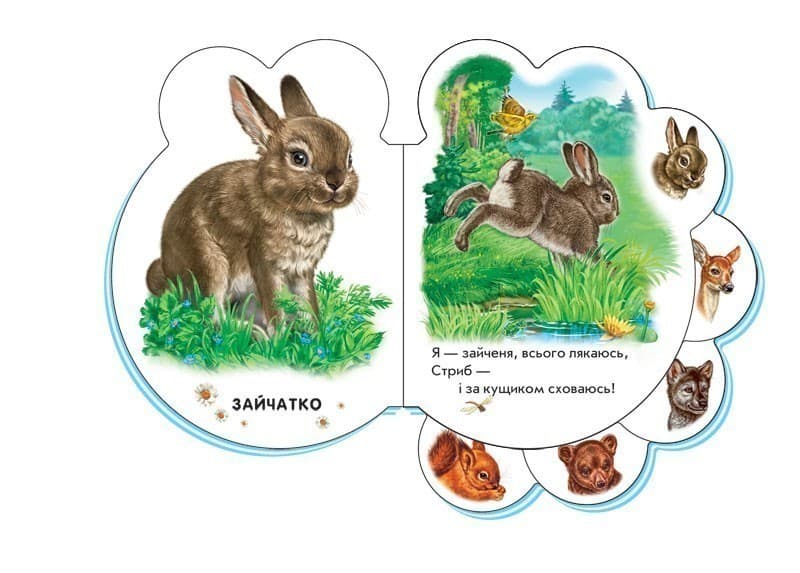 У лісі, фото - 3