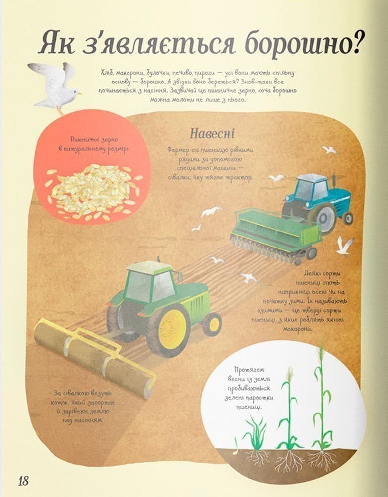 Усе починається з насіння, фото - 2