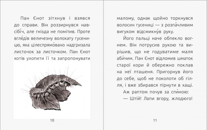 3 рівень. Справа про зухвале викрадення пташенят, фото - 3