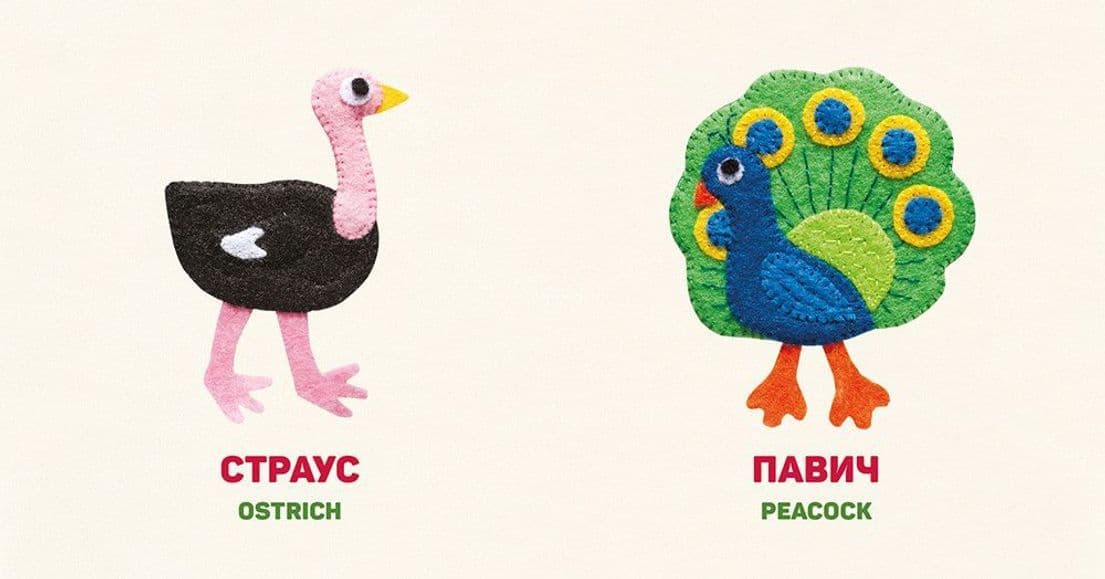 Птахи / Birds, фото - 2